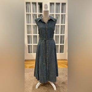 Venezia Denim Button Down Dress